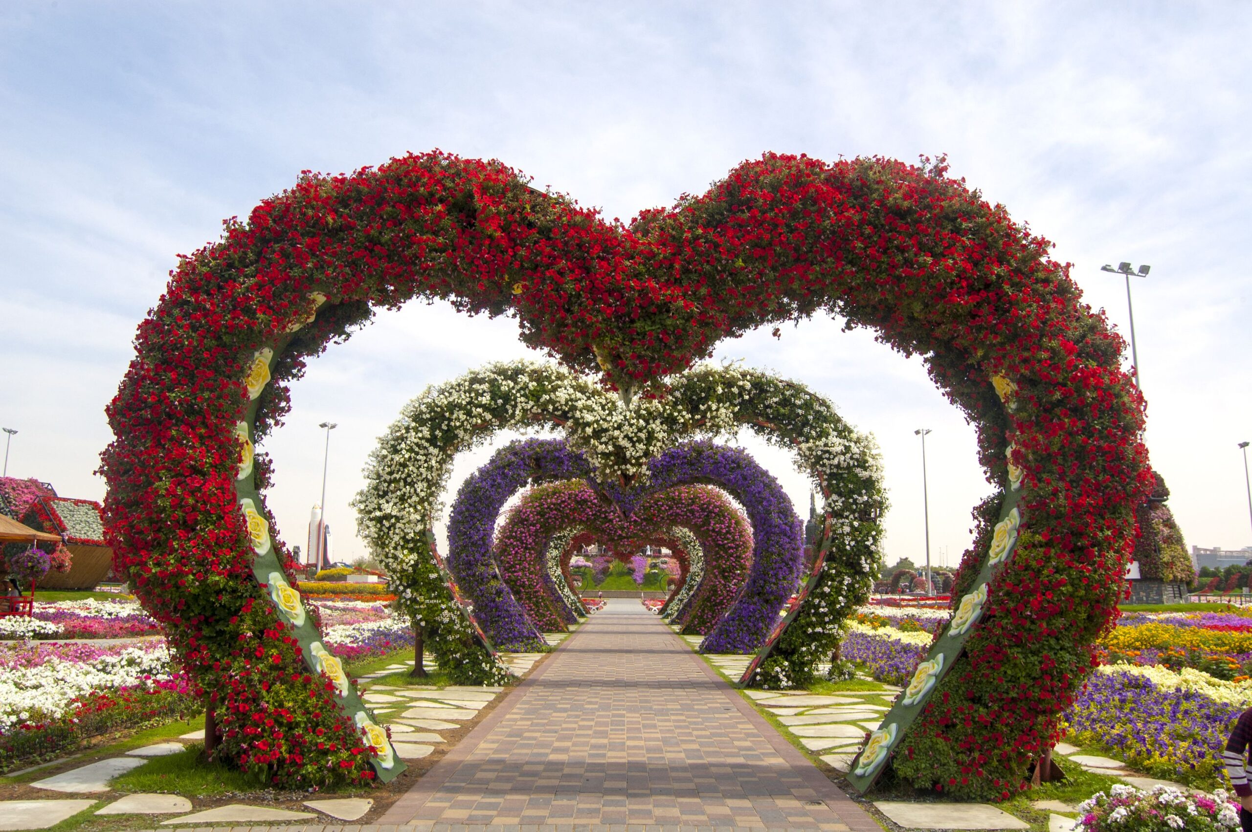 FAMOUS AND BLOOMING FLOWERS OF UAE